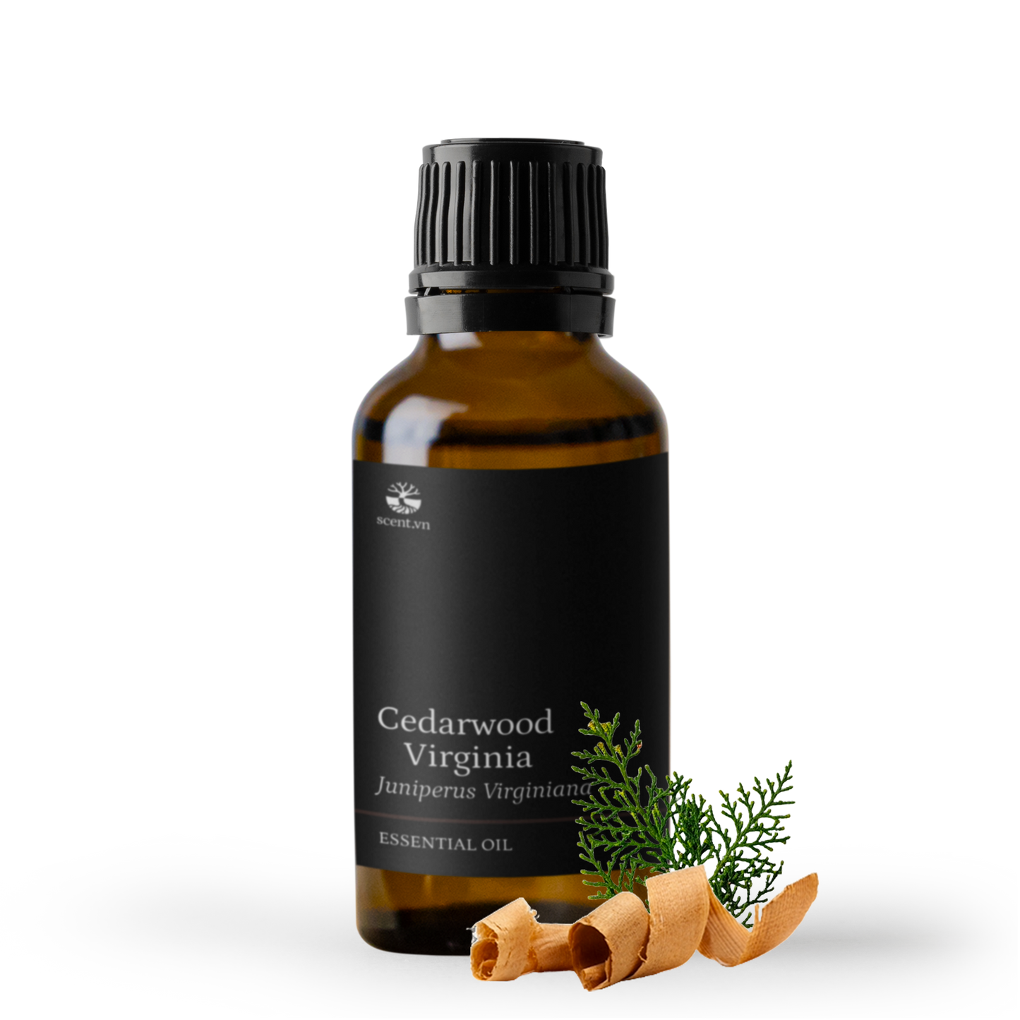 Tinh dầu Gỗ Tuyết Tùng - Cedarwood Virginia