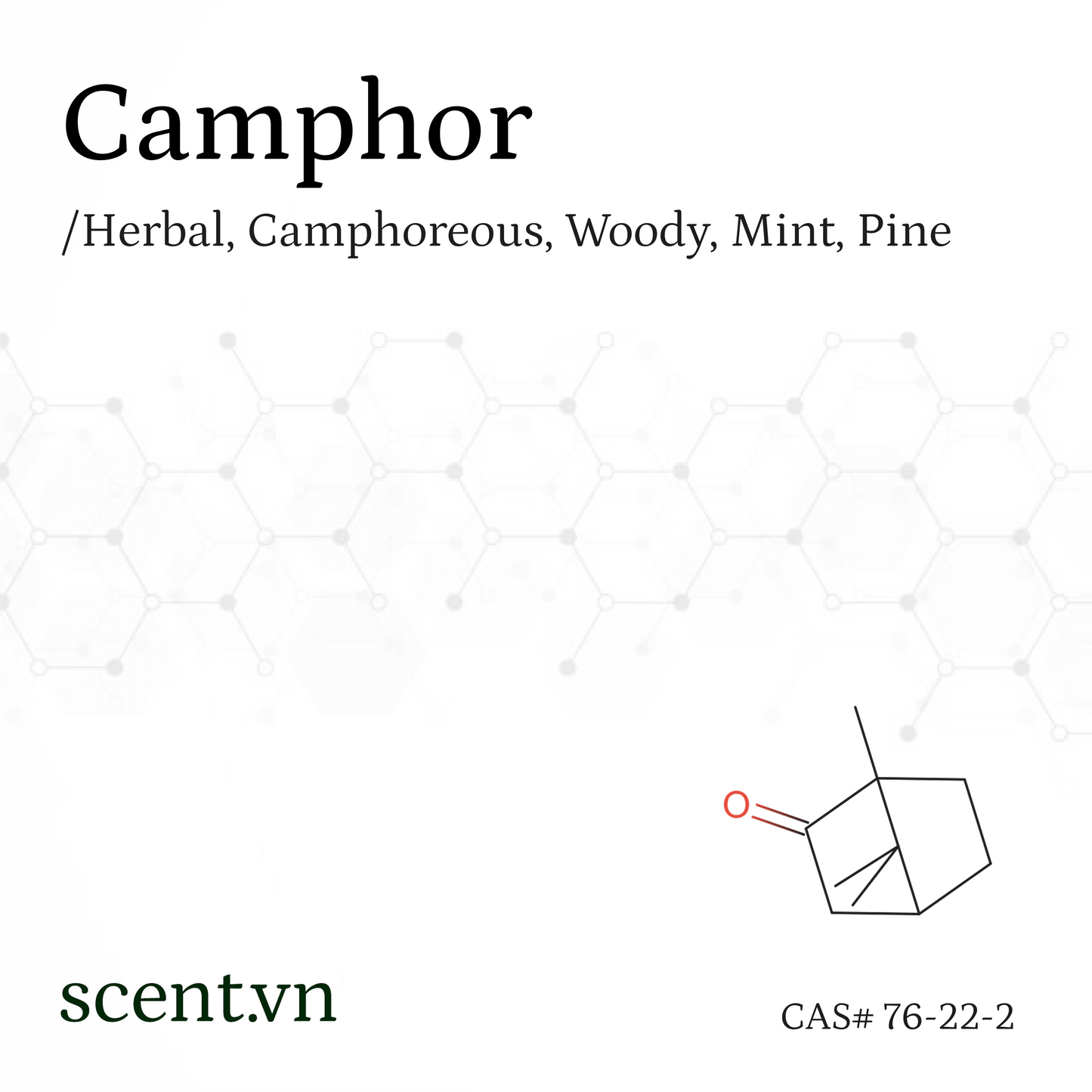 Camphor Aroma Chemical CAS# 76-22-2