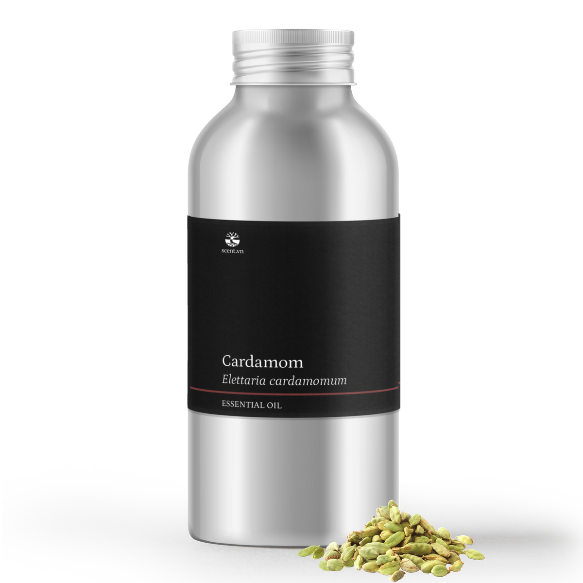 Cardamom Essential Oil