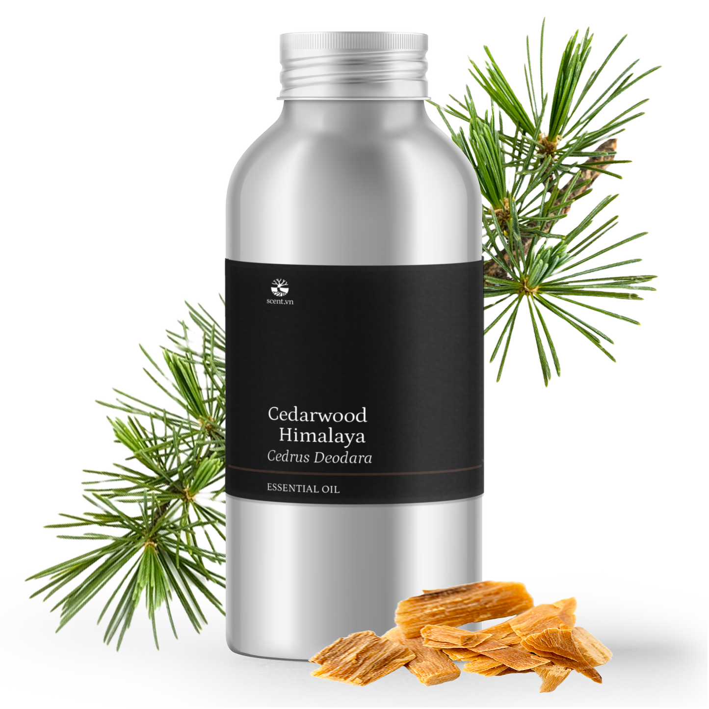 Tinh dầu Gỗ Tuyết Tùng - Cedarwood Himalaya
