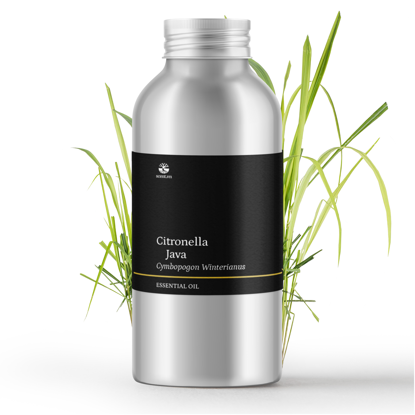 Citronella Essential Oil