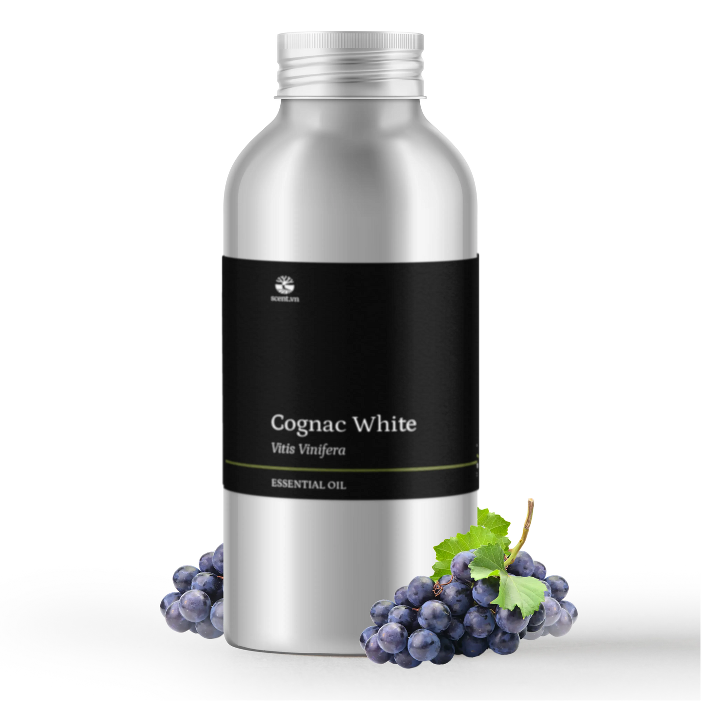 Tinh dầu Cognac Trắng - Cognac White