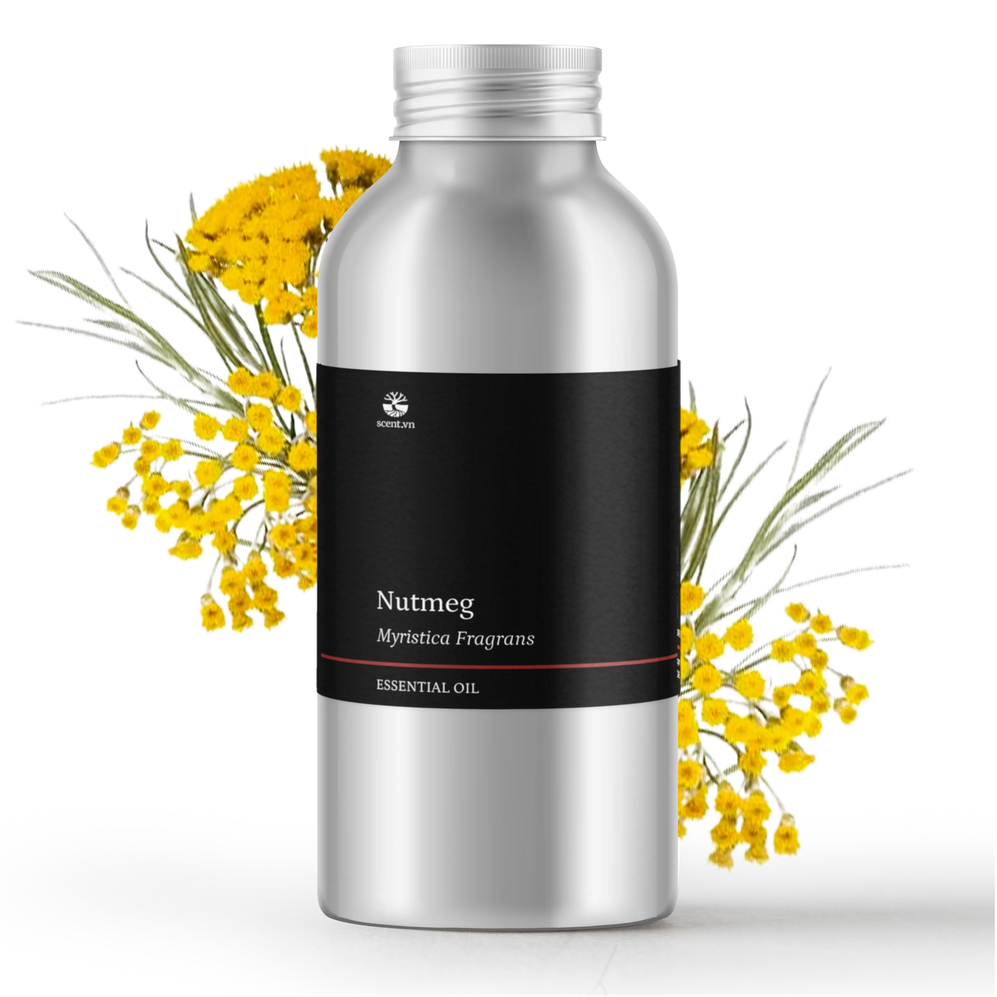 Tinh dầu Cúc Bất Tử - Rambiazina