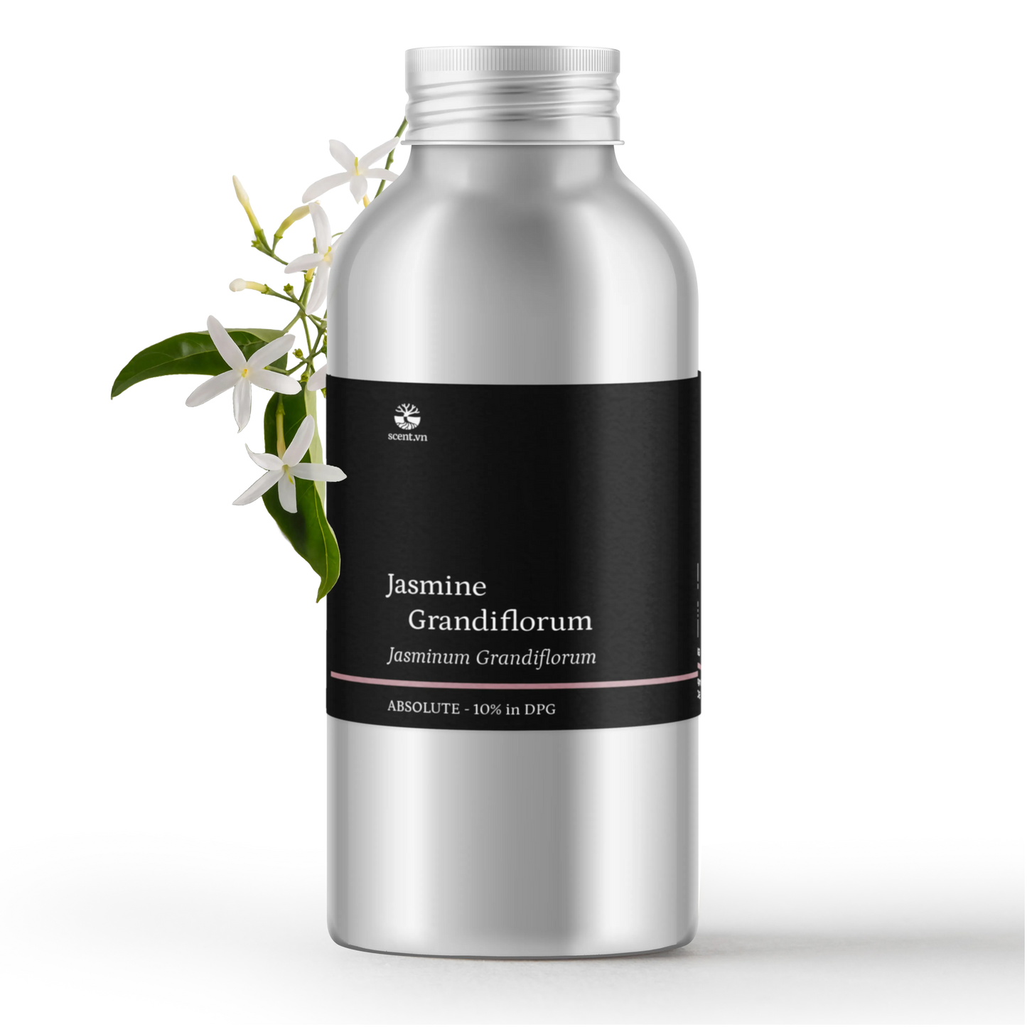 Jasmine Grandiflorum Absolute