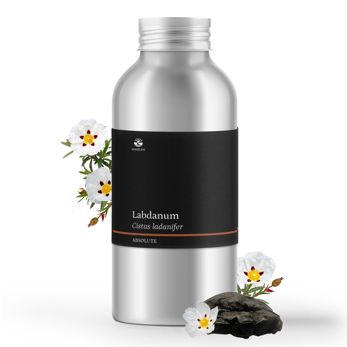 Labdanum Absolute