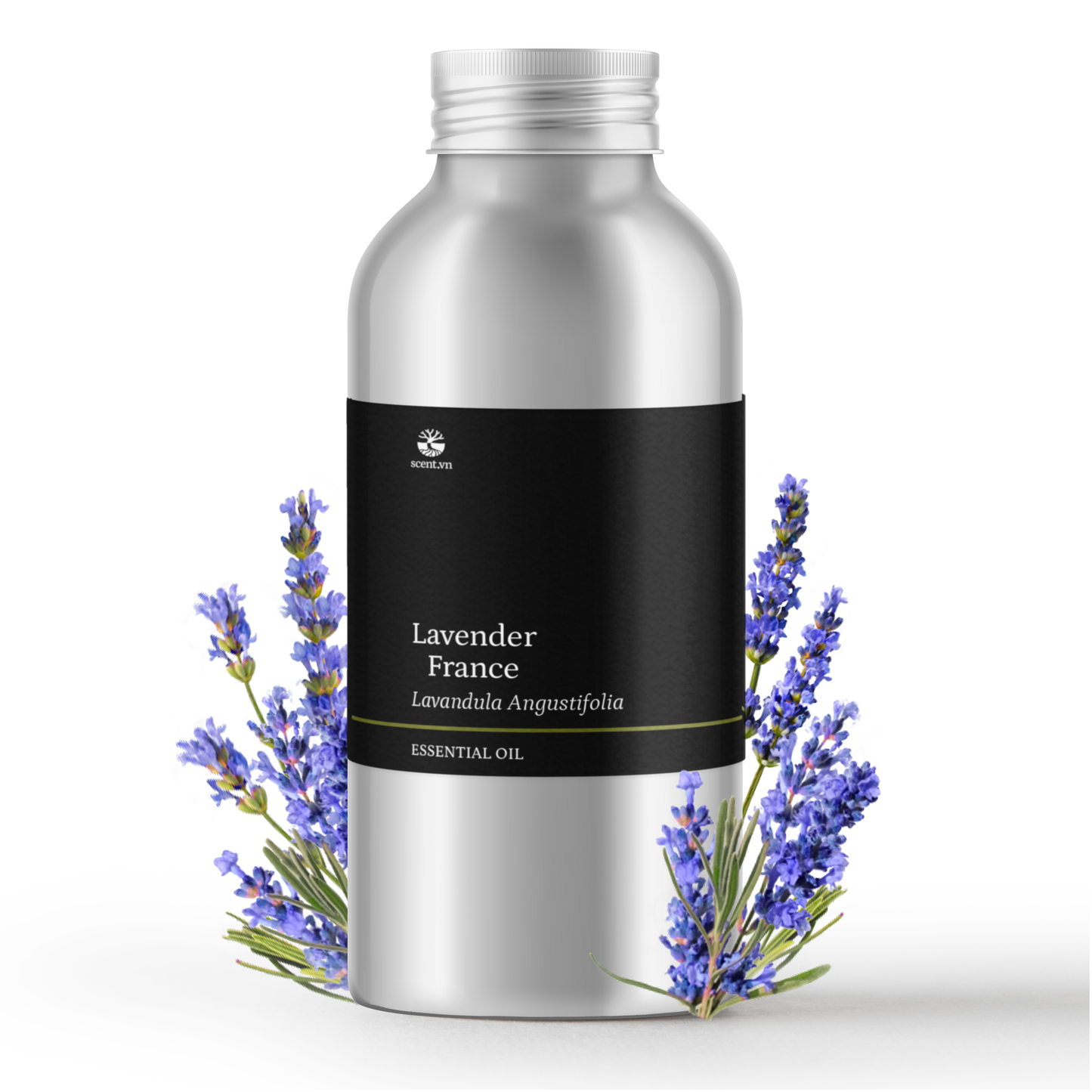 Tinh dầu Oải Hương - Lavender France