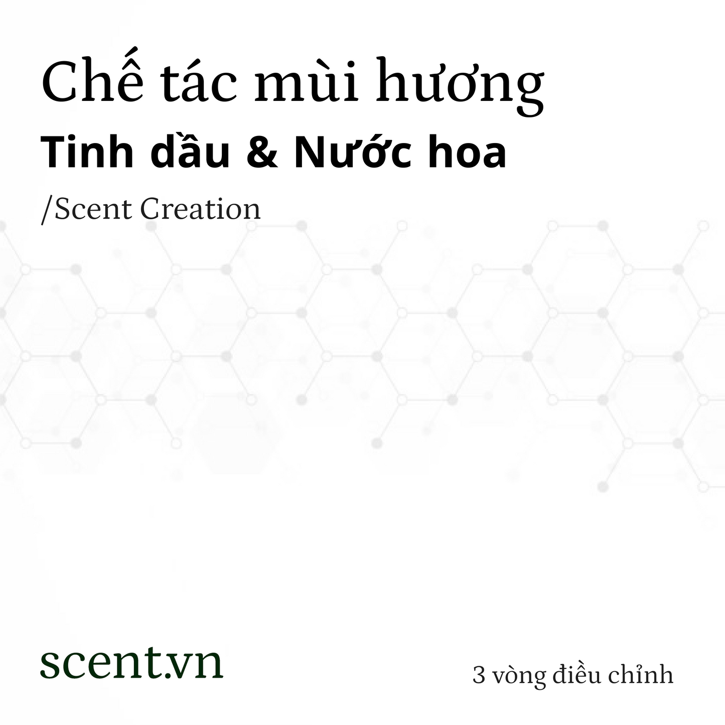 Scent creation service for fragrances & perfumes