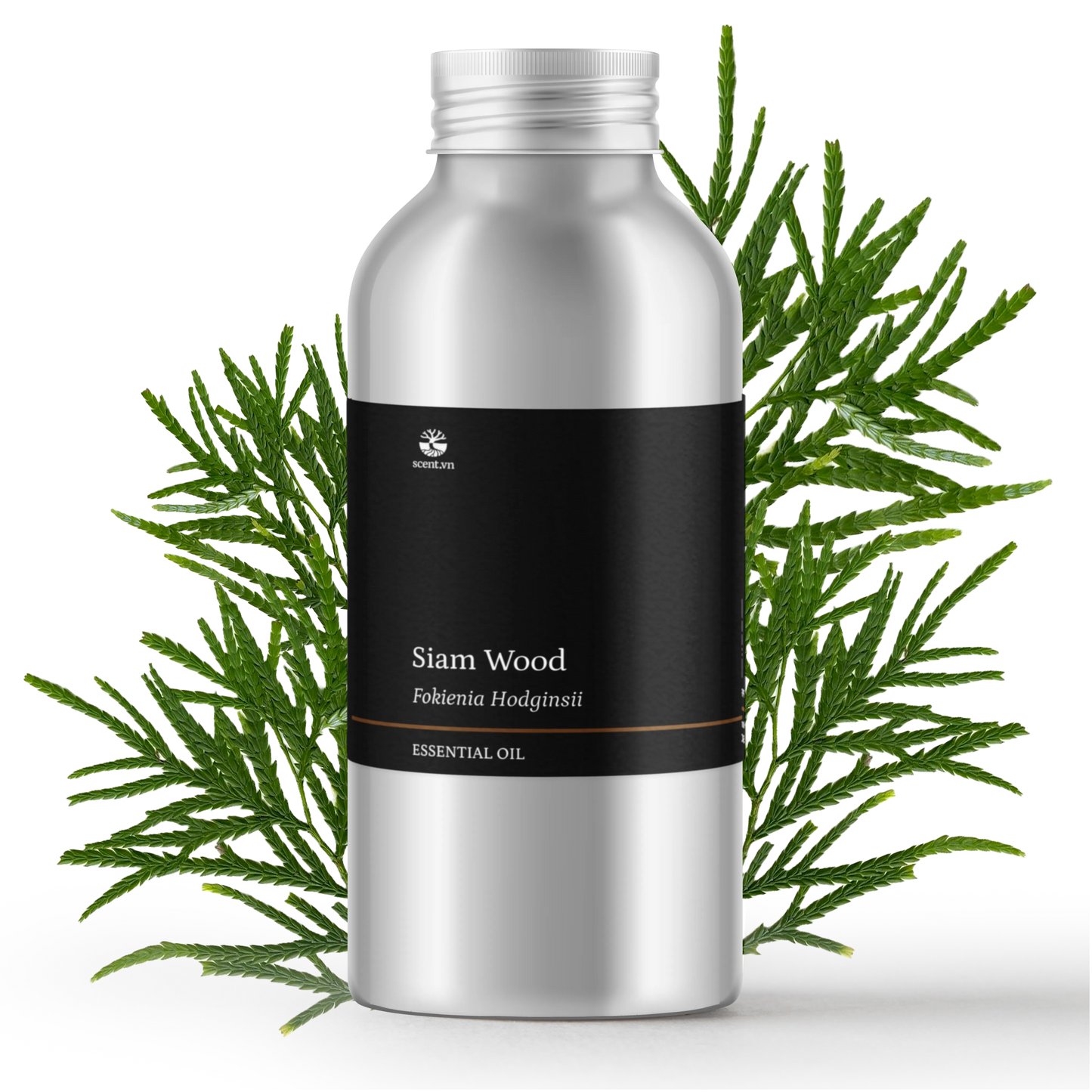 Siam Wood Essential Oil