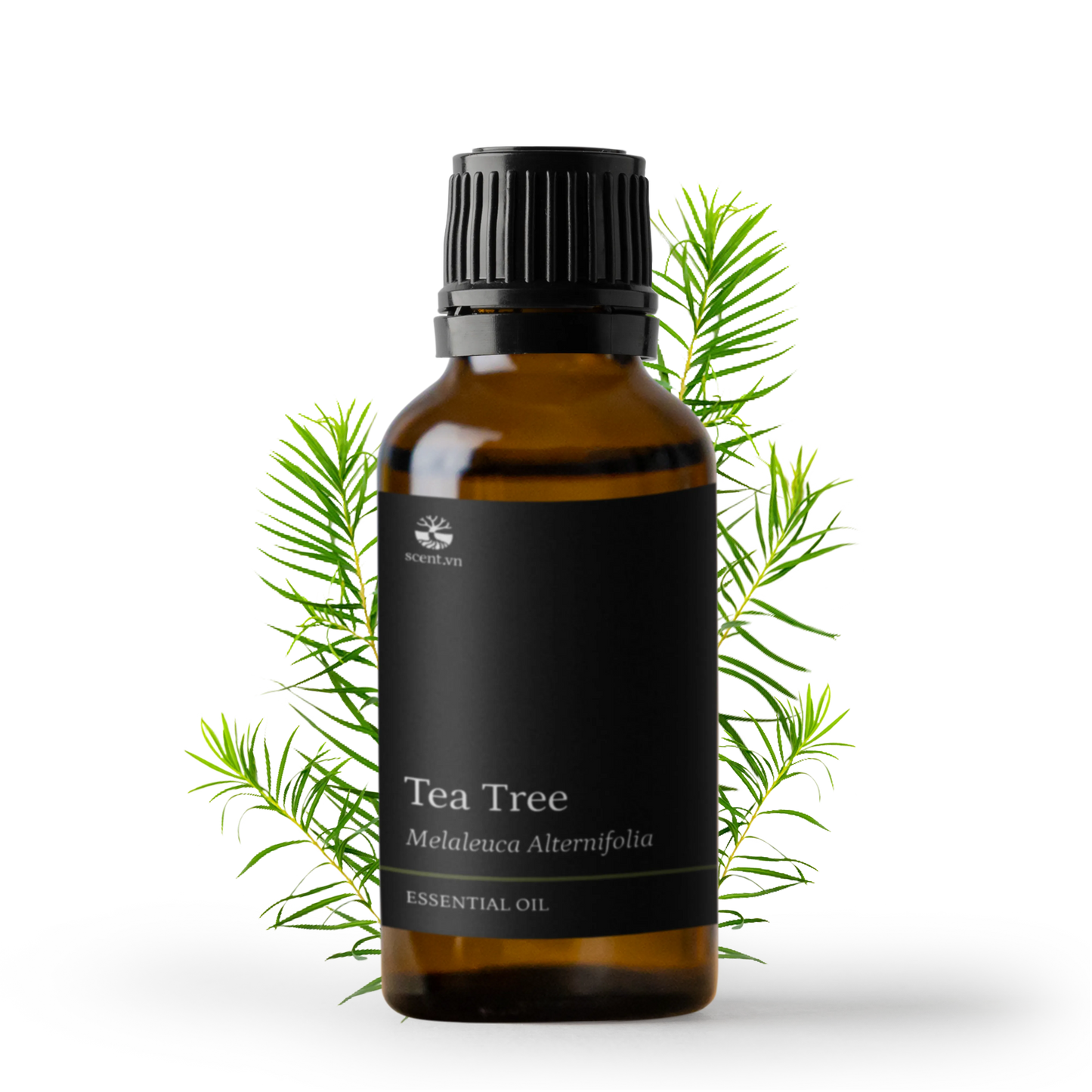 Tea Tree Essential Oil