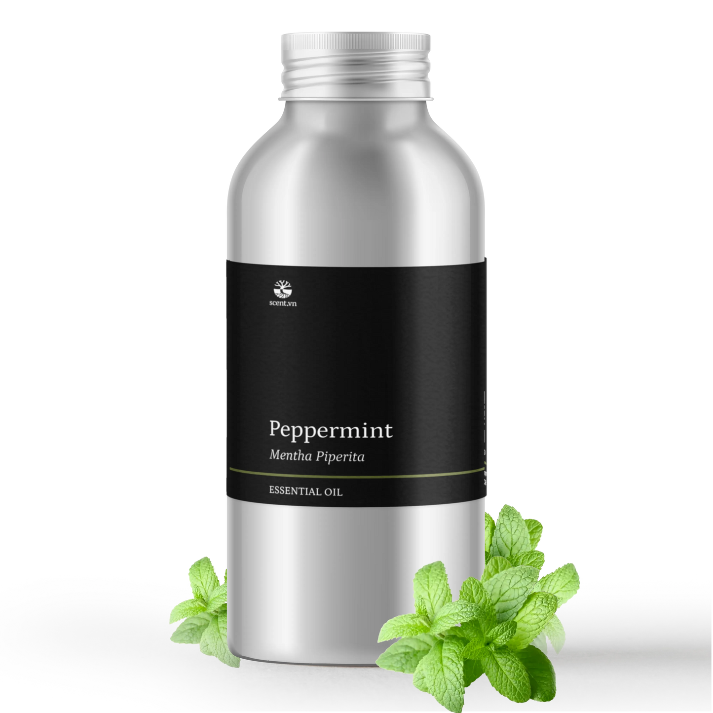 Peppermint Essential Oil