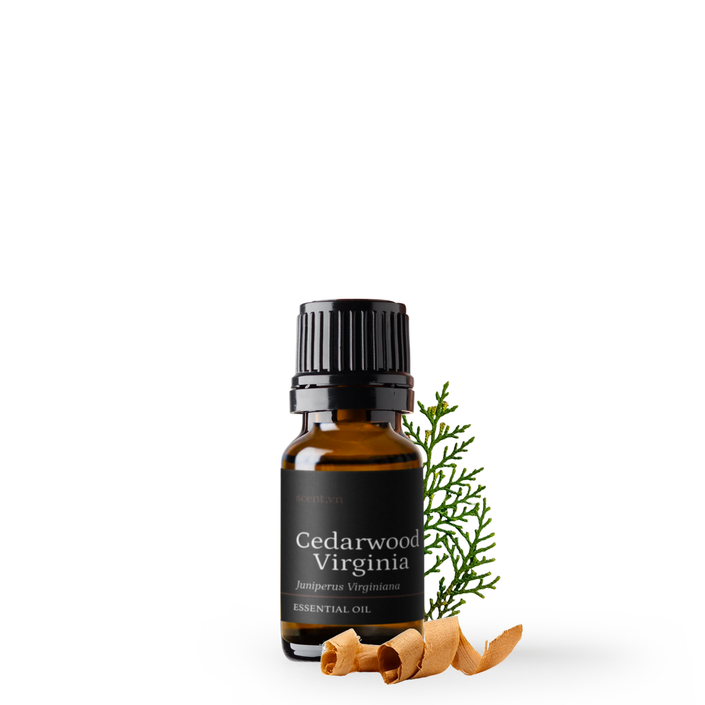 Tinh dầu Gỗ Tuyết Tùng - Cedarwood Virginia
