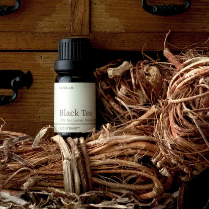 Hợp hương Trà Đen - Black Tea