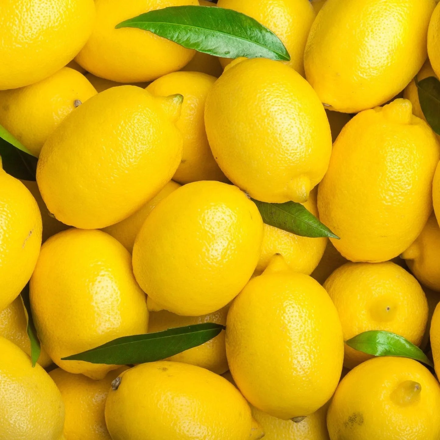 Lemon Essential Oil