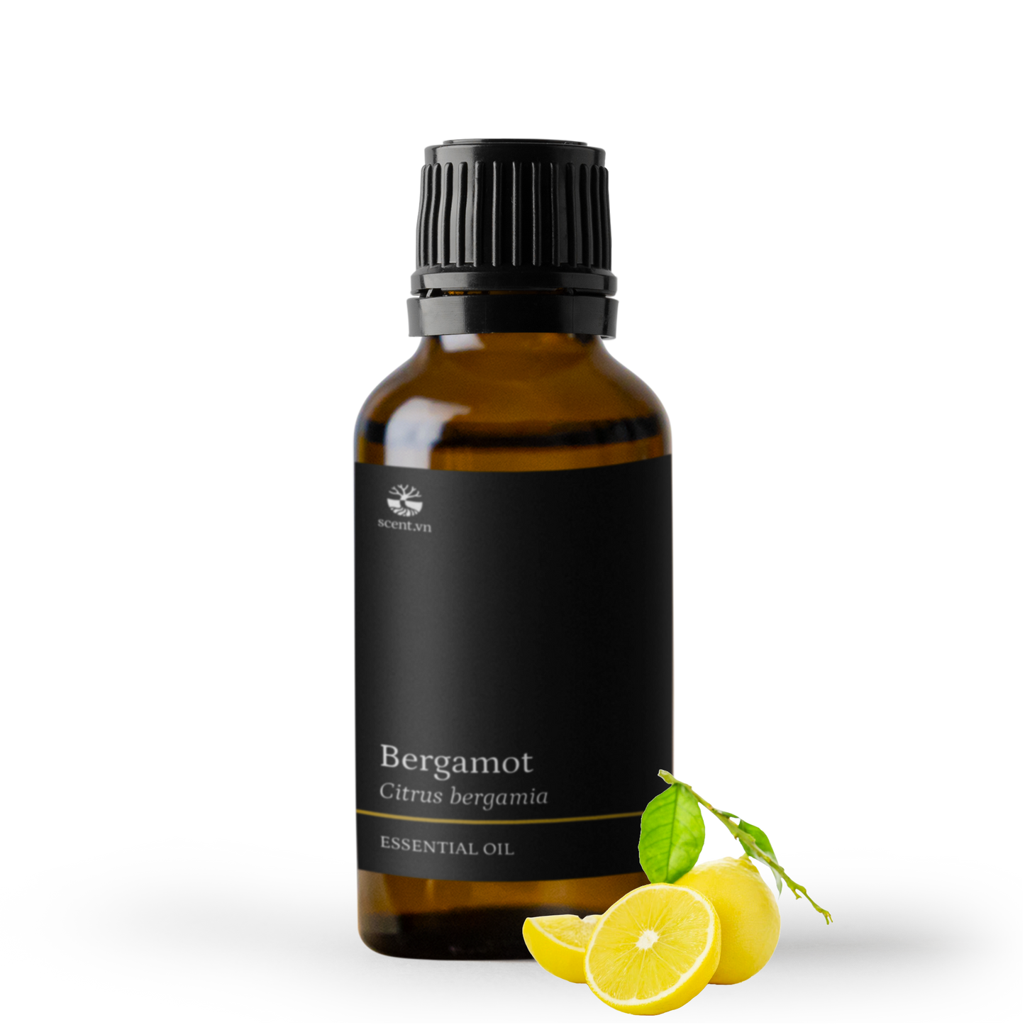 Tinh dầu Cam Hương - Bergamot FCF