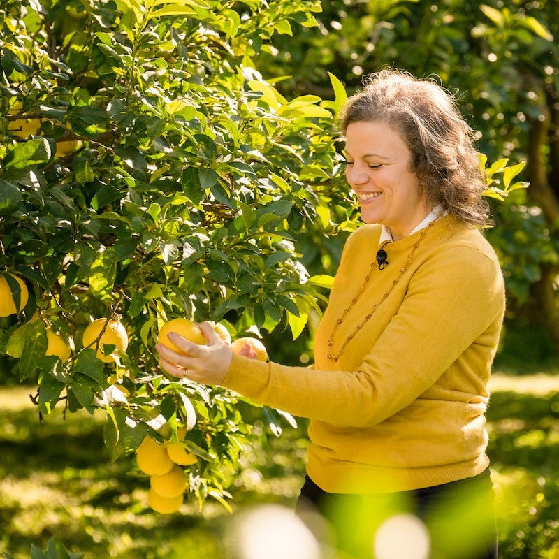 Tinh dầu Cam Hương - Bergamot FCF