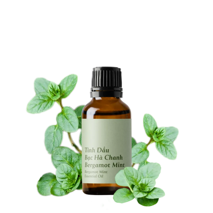 Tinh dầu Bạc Hà Chanh - Bergamot Mint