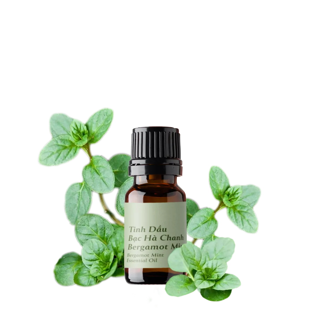 Tinh dầu Bạc Hà Chanh - Bergamot Mint