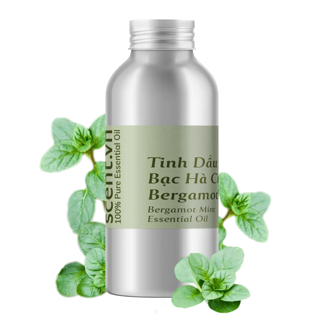  Bergamot Mint Essential Oil