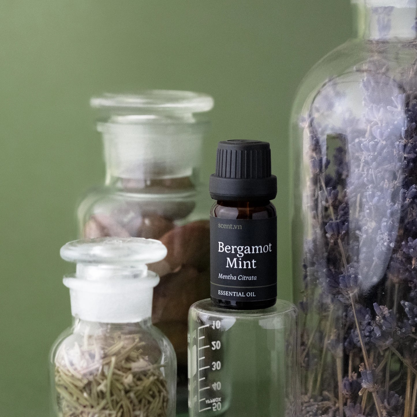 Tinh dầu Bạc Hà Chanh - Bergamot Mint