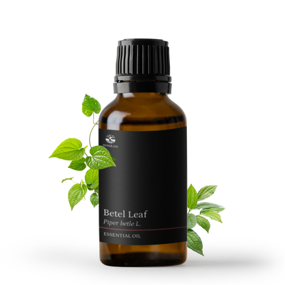Betel Leaf Essential Oil