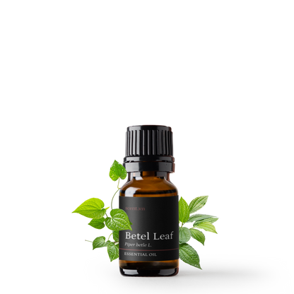 Betel Leaf Essential Oil