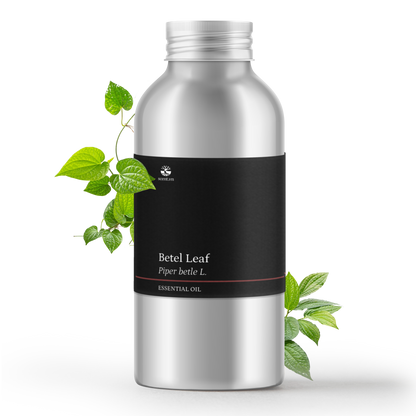 Betel Leaf Essential Oil