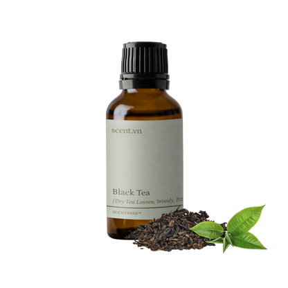 Hợp hương Trà Đen - Black Tea