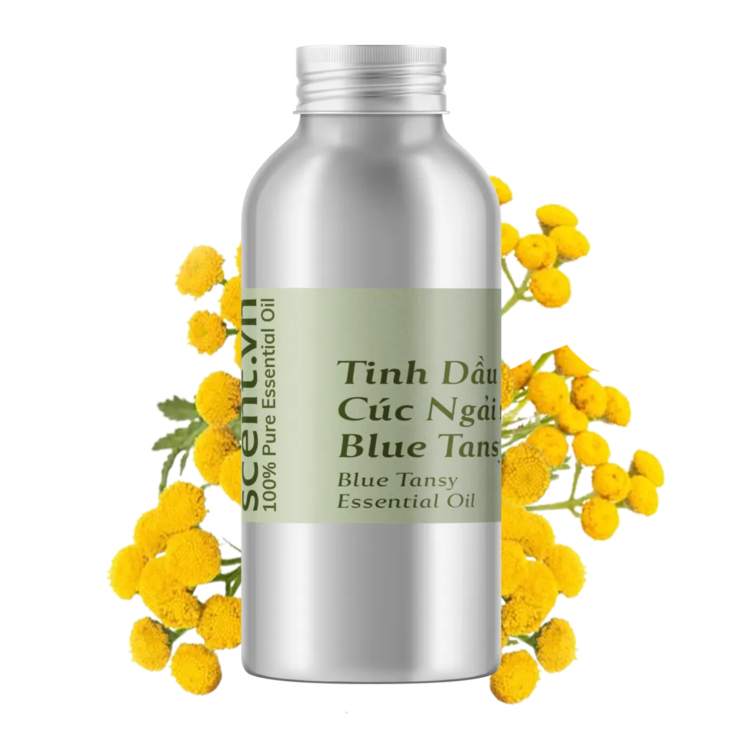 Tinh dầu Cúc Ngải Xanh - Blue Tansy