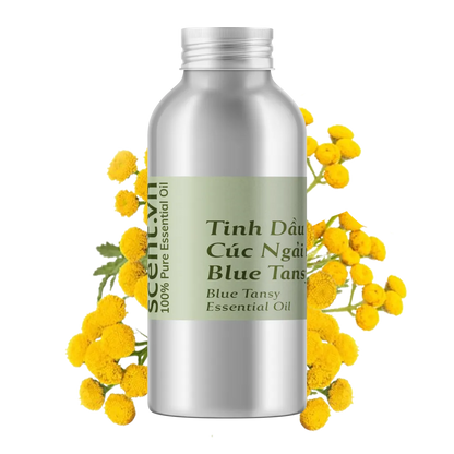 Tinh dầu Cúc Ngải Xanh - Blue Tansy