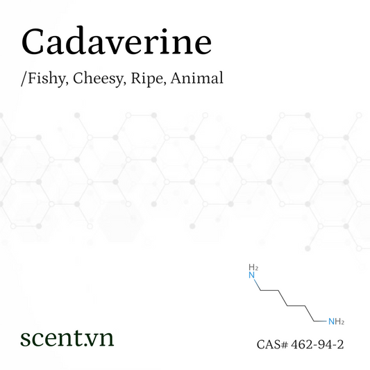 Cadaverine Aroma Chemical CAS# 462-94-2