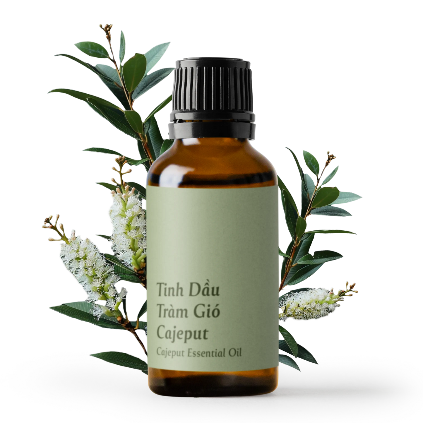 Cajeput Essential Oil