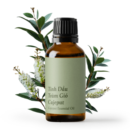 Cajeput Essential Oil