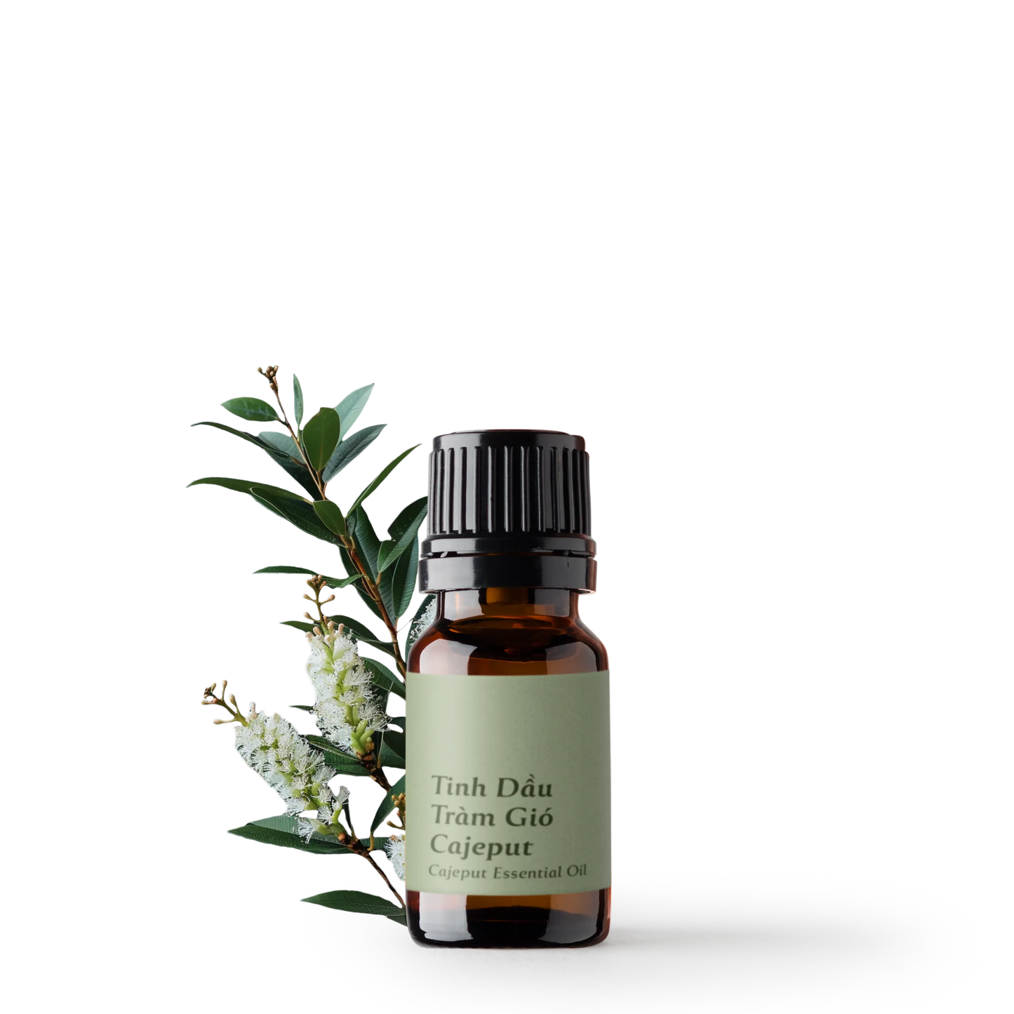 Cajeput Essential Oil