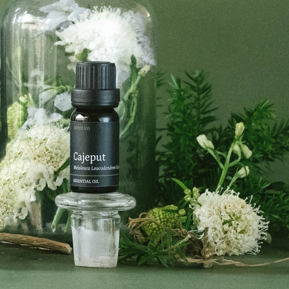 Cajeput Essential Oil