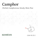 Camphor Aroma Chemical CAS# 76-22-2