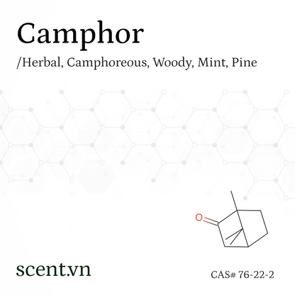 Chất thơm Camphor CAS# 76-22-2