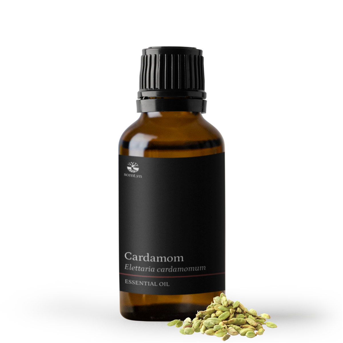 Cardamom Essential Oil