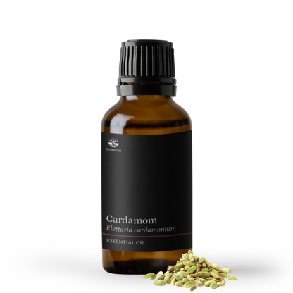 Cardamom Essential Oil