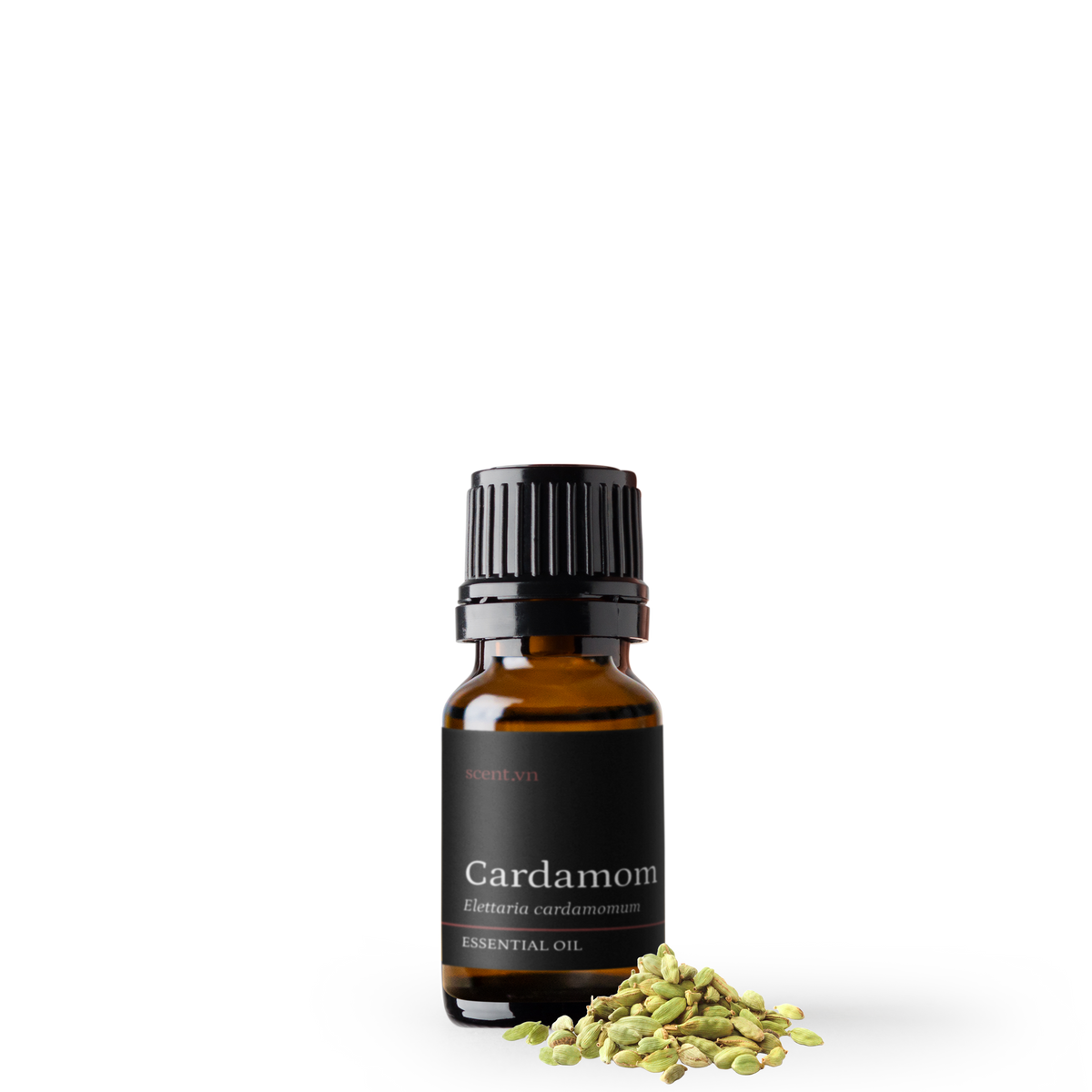 Cardamom Essential Oil