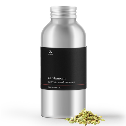 Cardamom Essential Oil