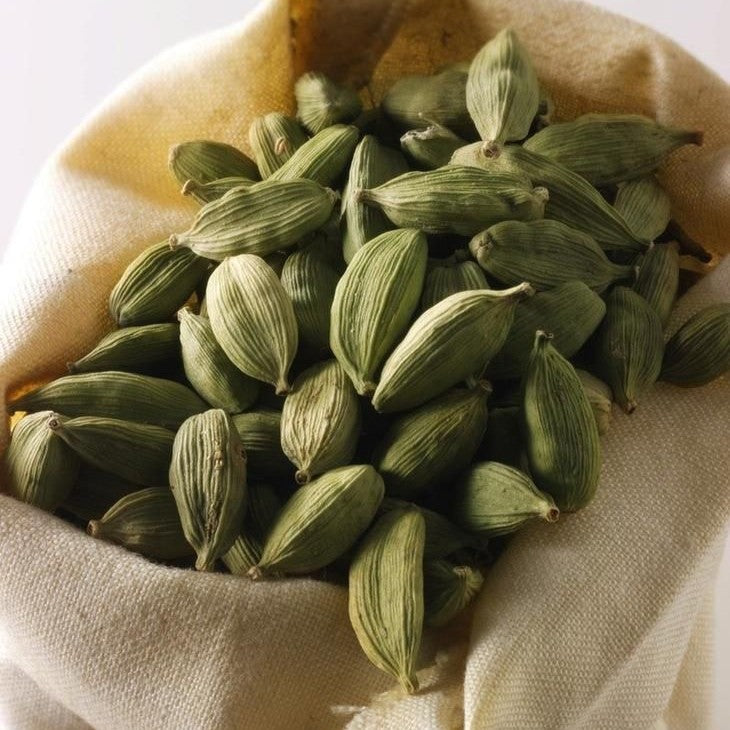 Cardamom Essential Oil