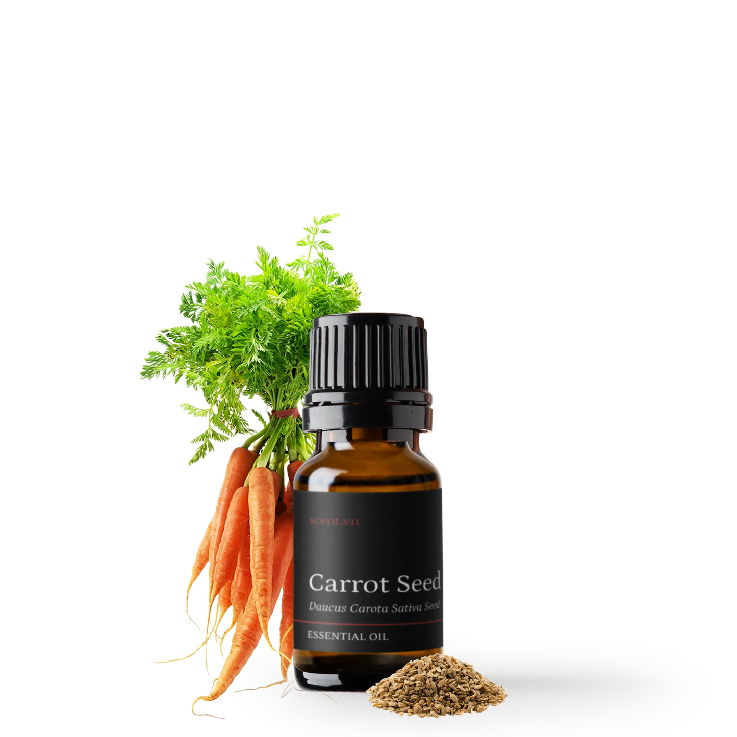 Tinh dầu Hạt Cà Rốt - Carrot Seed