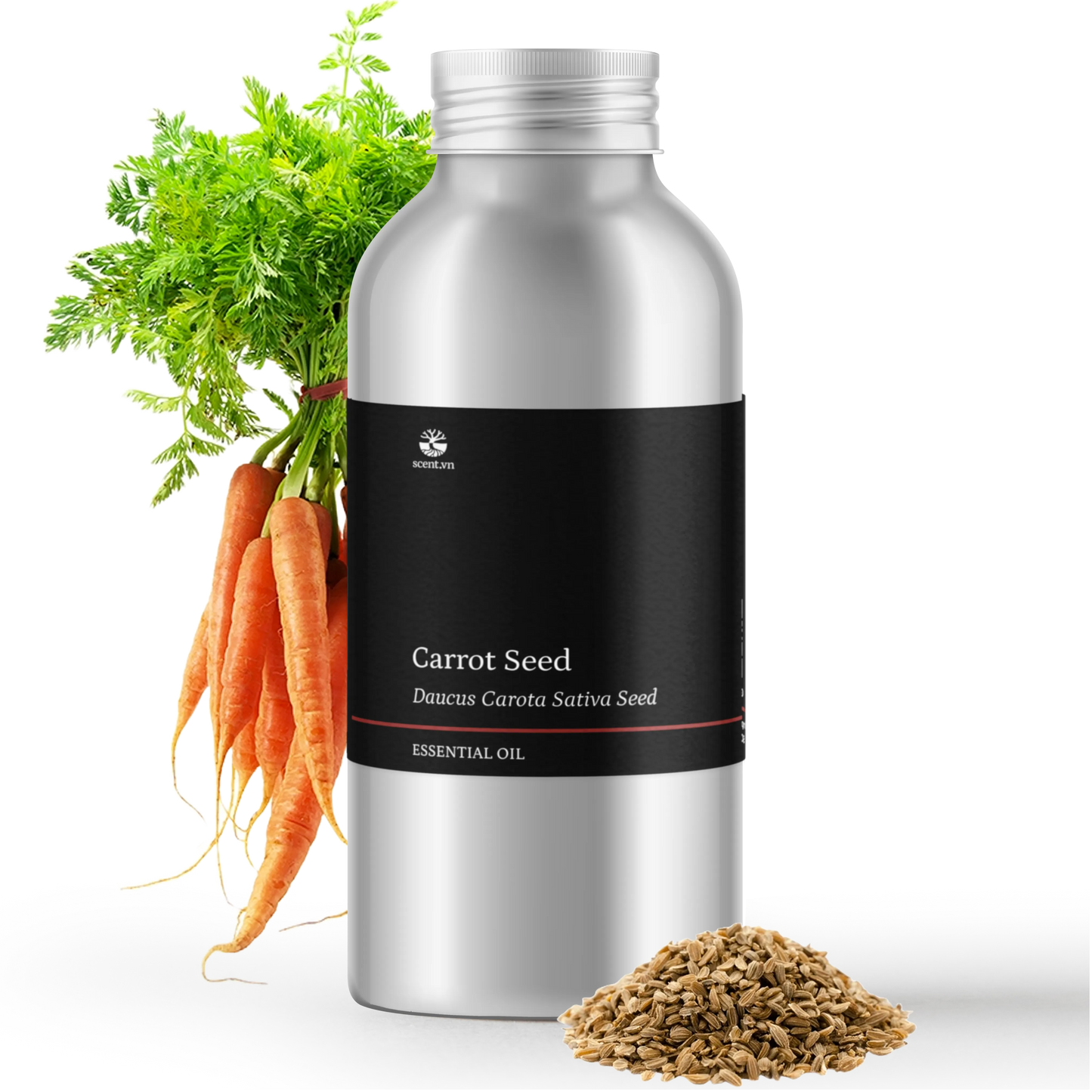 Tinh dầu Hạt Cà Rốt - Carrot Seed