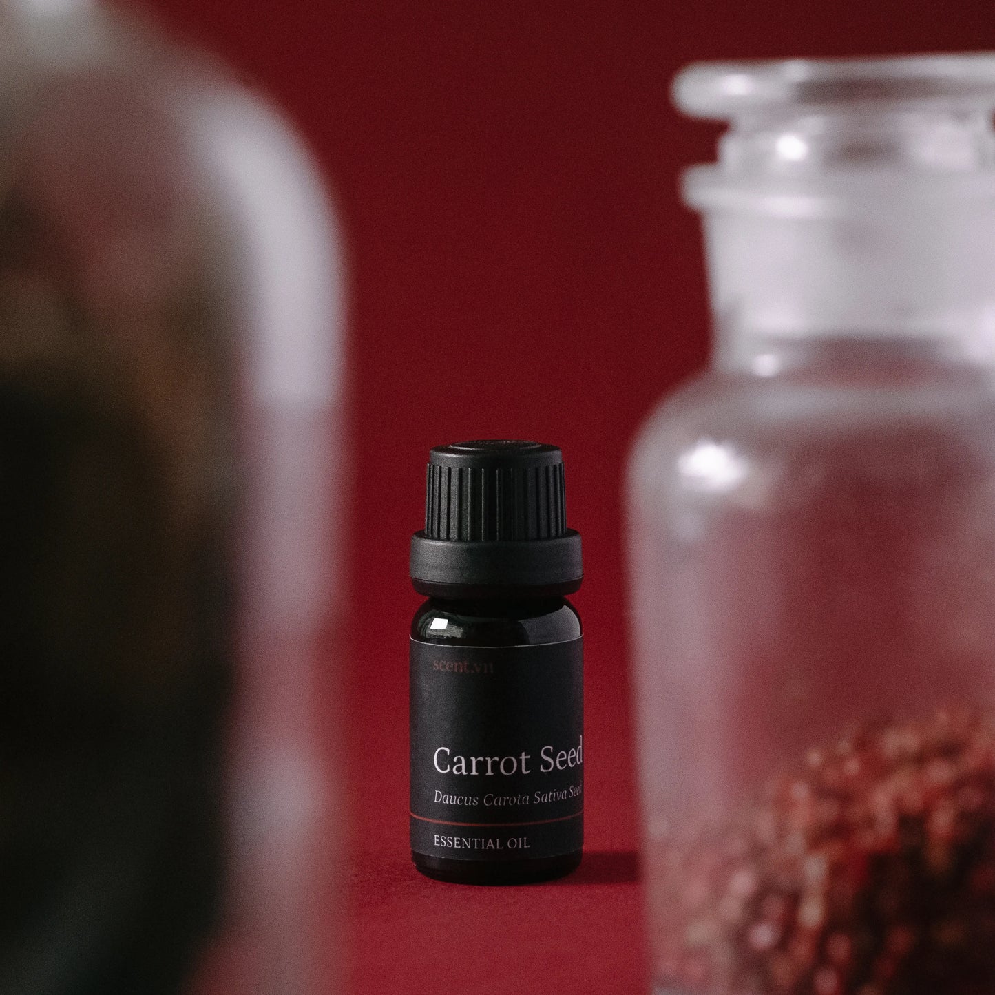 Tinh dầu Hạt Cà Rốt - Carrot Seed