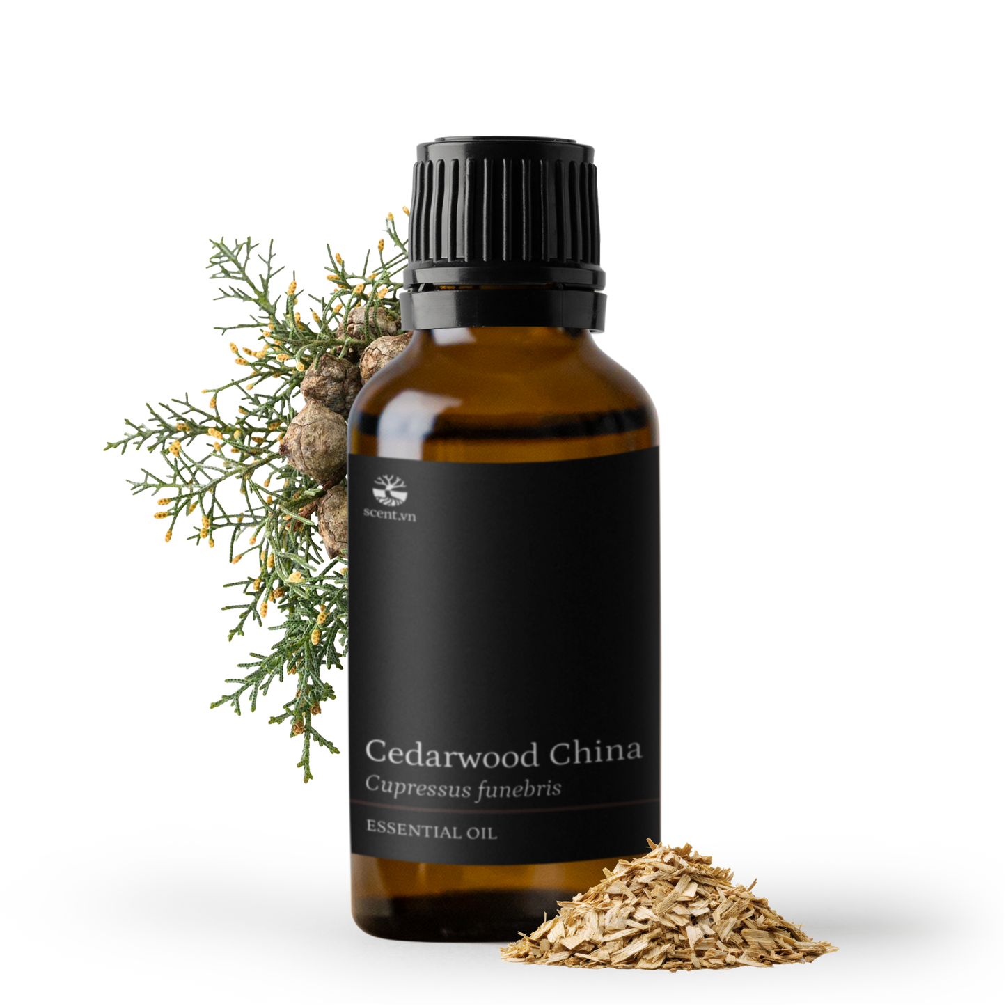 Cedarwood China Essential Oil
