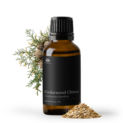 Cedarwood China Essential Oil