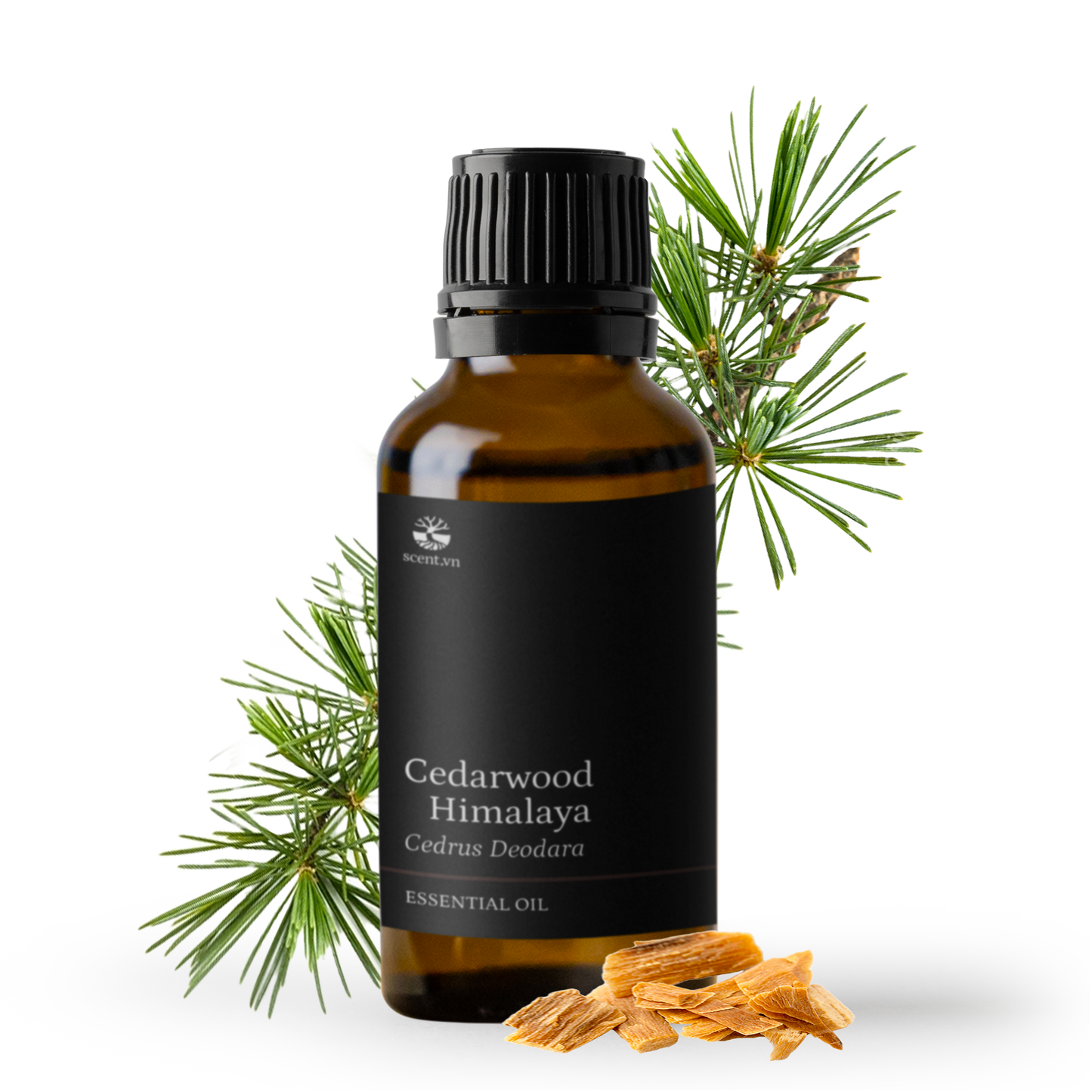 Tinh dầu Gỗ Tuyết Tùng - Cedarwood Himalaya