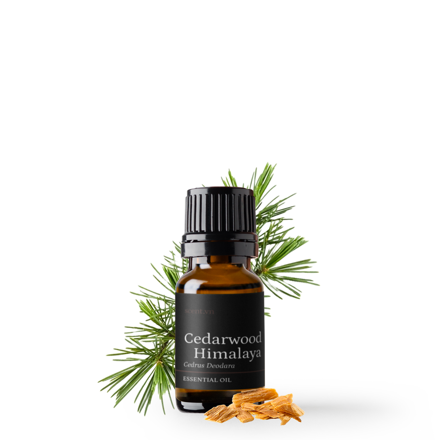 Tinh dầu Gỗ Tuyết Tùng - Cedarwood Himalaya