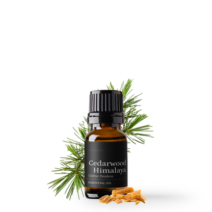 Tinh dầu Gỗ Tuyết Tùng - Cedarwood Himalaya