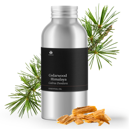 Tinh dầu Gỗ Tuyết Tùng - Cedarwood Himalaya